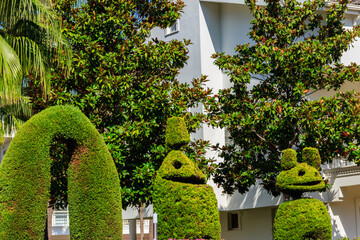 Beautiful funny bush figures in a garden