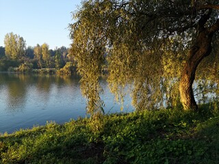 Bright autumn morning in the park - trees and lake