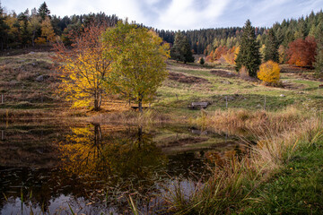 Unterwegs im Hochschwarzwald.
Herbststimmung am Letzbergweiher oberhalb von Schönau im Schwarzwald.