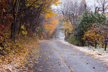 Obraz premium Narrow curving suburban road with colourful foliage under a first early snow seen during a Fall afternoon