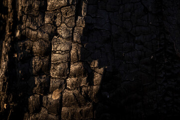the black background of charcoal,charred wood