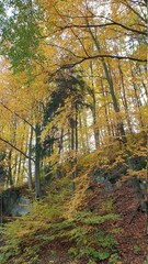 Polska Złota Jesień