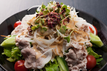 トンしゃぶサラダ