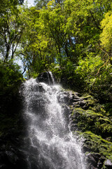 Waterfall with green trees around