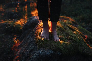 Women's bare feet stand on a stone covered with moss. Sunny forest