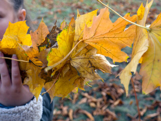 girl holding garland autumn yellow leaves