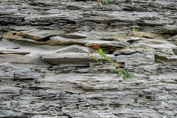 formation of rocks along the lakeshore