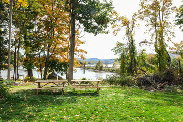 Picnic table in the forest
