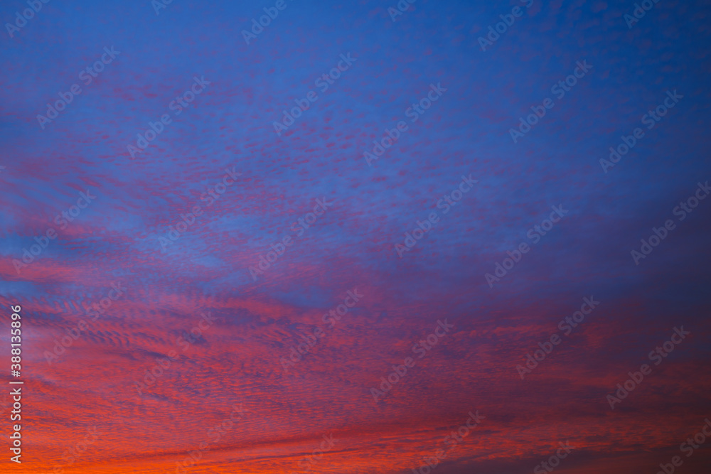 Canvas Prints blue sky and red broken clouds background.