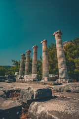 temple of apollo