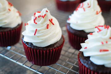 chocolate cupcake with whipped cream frosting and red sprinkles