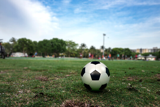 Bokeh close up of a soccer ball on the field, players in the background at Village Green Dog Park in Key Biscayne, Florida