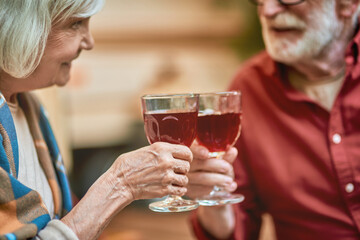 Happy elderly couple celebrating while toasting with wine