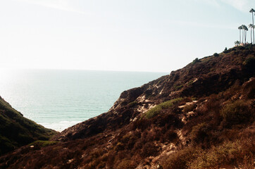 Ocean behind a hill with trees