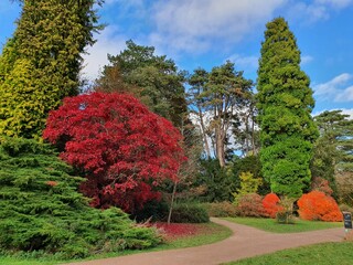 Westonbirt, The National Arboretum in October
