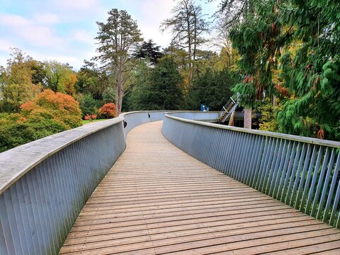 Westonbirt, The National Arboretum in October
