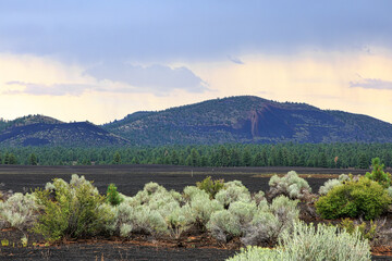 Cinder Fields next to Sunset Crater in Northern Arizona