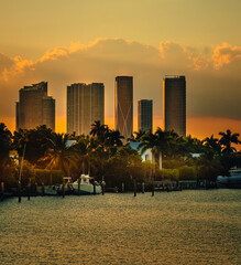 city skyline at sunset miami florida palms boat buildings downtown  - obrazy, fototapety, plakaty