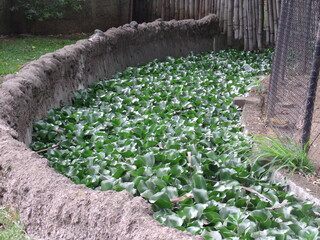 GEDSC DIGITAL CAMERA.