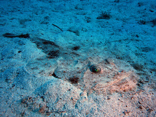 Obraz premium Scuba Diving Malta, Gozo and Comino
