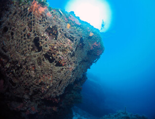 Scuba Diving Malta, Gozo and Comino