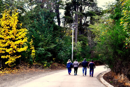 Camino tranquilo
