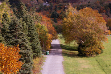 Aerial view of a long gravel walking trail with large autumn trees of red, orange, and yellow leaves on both sides of the trail. There's green grass in the foreground and a forest in the background. 