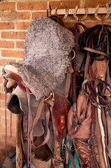 Horse accessories hung on horseshoes on the wall of the hut. Flanges arranged neatly in the...