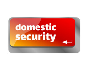 Domestic security . Close up of keyboard, enter computer key.