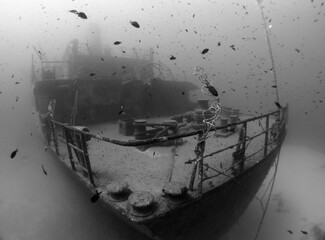 Scuba Diving Malta, Gozo and Comino