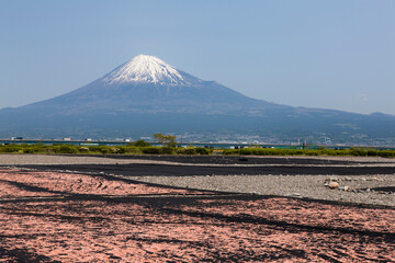 桜えびの天日干しと富士山