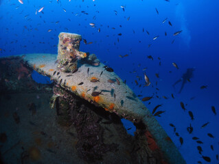 Scuba Diving Malta, Gozo and Comino