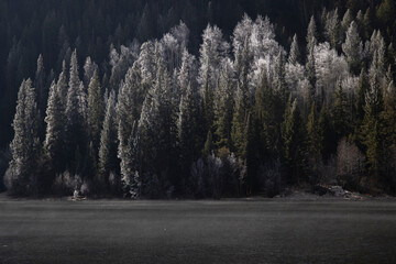 Fog and Frost at Cottonwood Lake Colorado