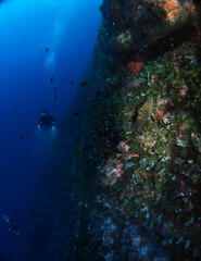 Fototapeta na wymiar Scuba Diving Malta, Gozo and Comino