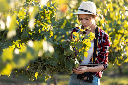 Beautiful woman with hat standing at vineyard