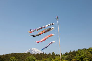富士山と鯉のぼり