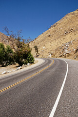 Naklejka premium the road in the desert