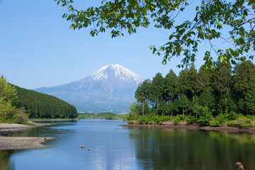 新緑の頃の田貫湖と富士山