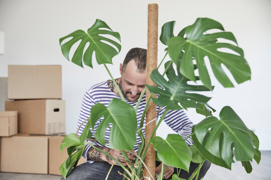 Mature man looking at potted plant while doing shifting of house