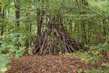 shelter made of dry branches in a green  beech forest