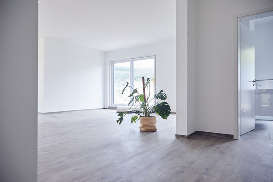 Interior of modern domestic room