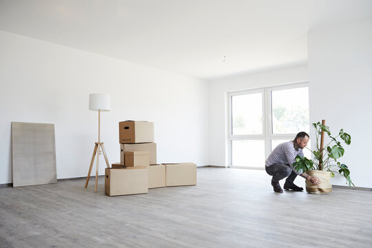 Mature man keeping plant at side during relocating of house