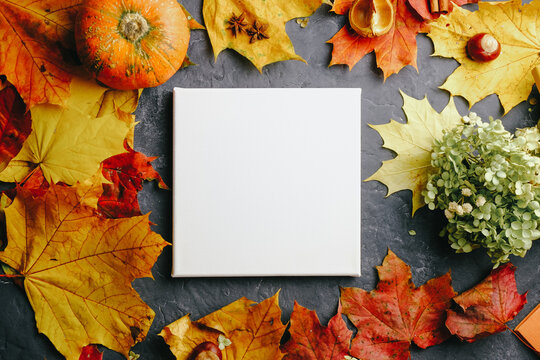 Blank square canvas on autumn background. Mockup poster with colourful autumn leaves. Top view.