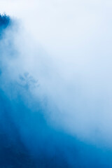 Naklejka premium 霧の森