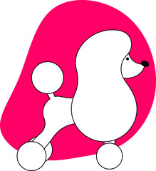 dog illustration grooming spa poodle