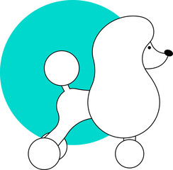 dog illustration grooming spa poodle
