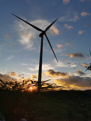 wind turbines at sunset