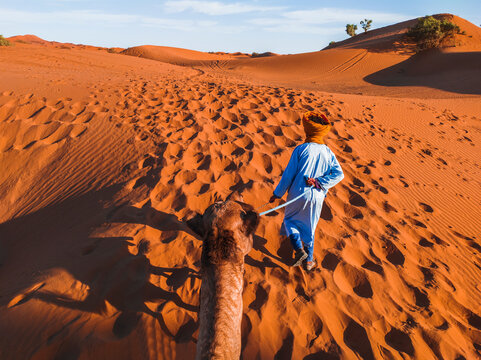 Tuareg conducting dromedaries in the Sahara desert at sunset