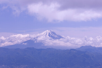 甘利山からの富士山