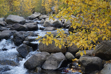 Fototapeta na wymiar Scenic landscape view of trees with golden fall colors framing a river with large boulders 